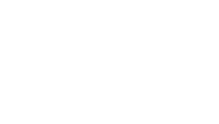 icon-bluescope