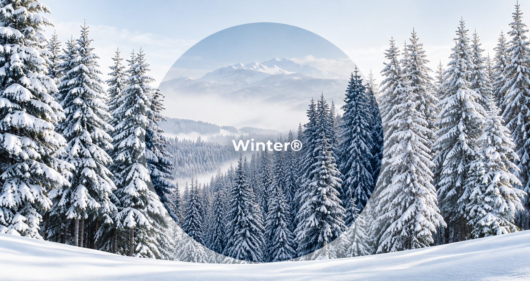 Winter Forest Circle Vista.png